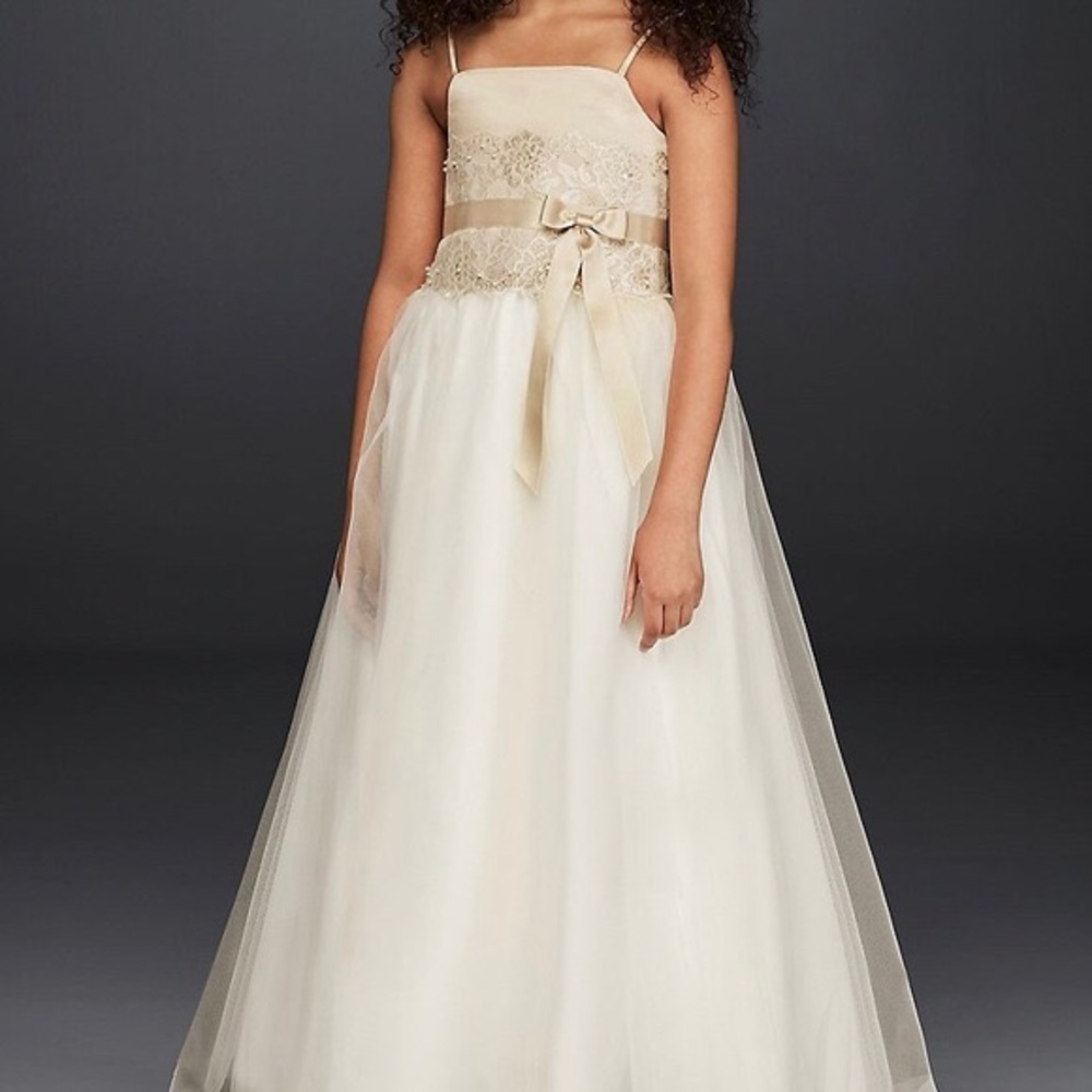 David’s Bridal lace tulle flower girl dress